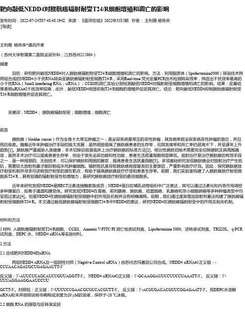 靶向敲低NEDD4对膀胱癌辐射耐受T24_R细胞增殖和凋亡的影响_1