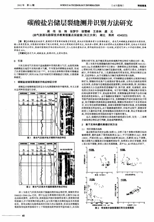 碳酸盐岩储层裂缝测井识别方法研究