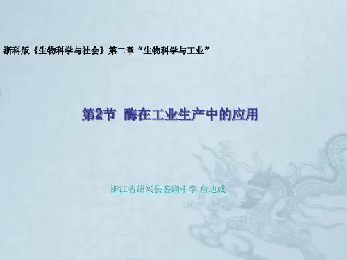 高中生物第二章第二节酶在工业生产中的应用课件浙科版选修二