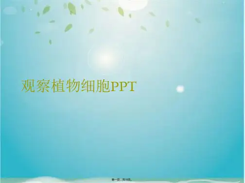 观察植物细胞PPT(共15张PPT)