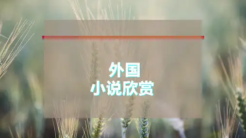外国小说欣赏PPT模板