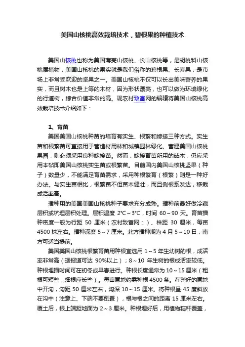 美国山核桃高效栽培技术，碧根果的种植技术