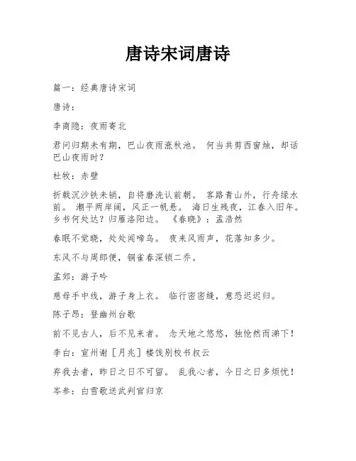 唐诗宋词唐诗