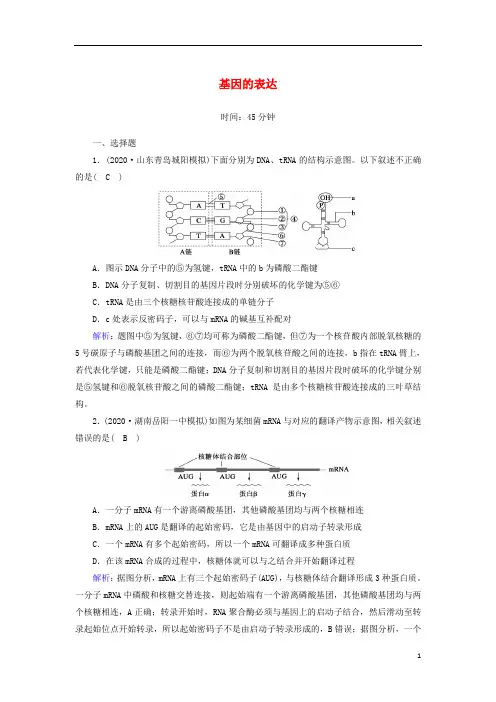高考生物一轮复习第六单元遗传的物质基础第20讲基因的表达课时作业含解析新人教版
