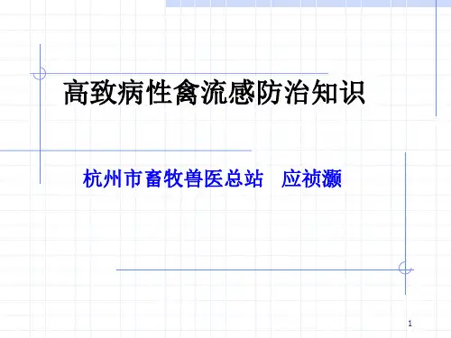 高致病性禽流感防治知识