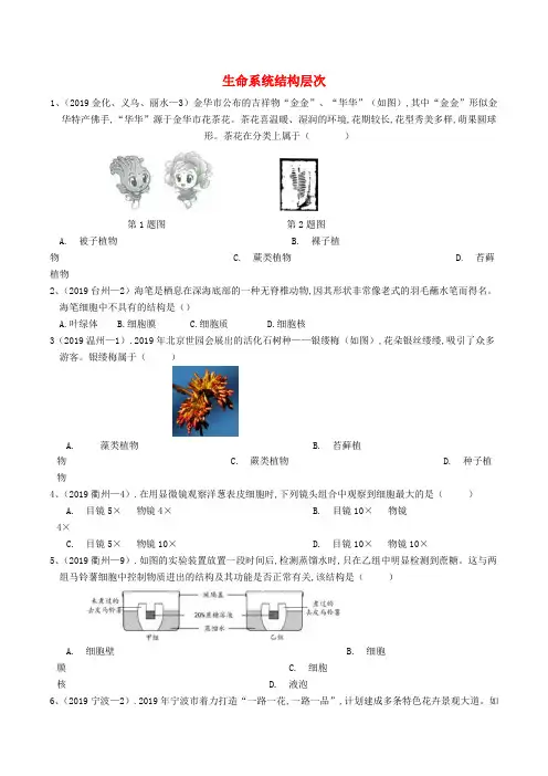 各地2019年中考科学真题分类汇编生命系统结构层次