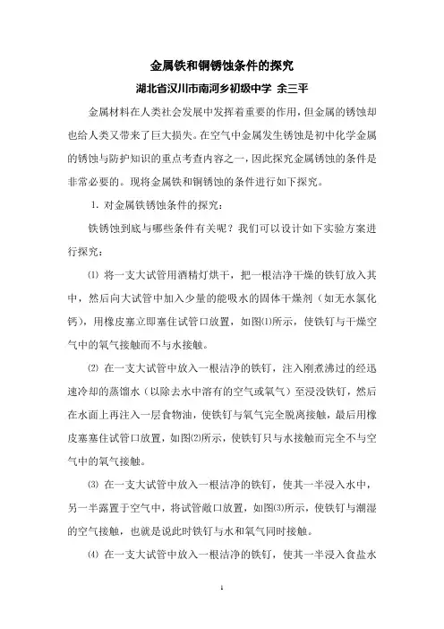 金属铁和铜锈蚀条件的探究