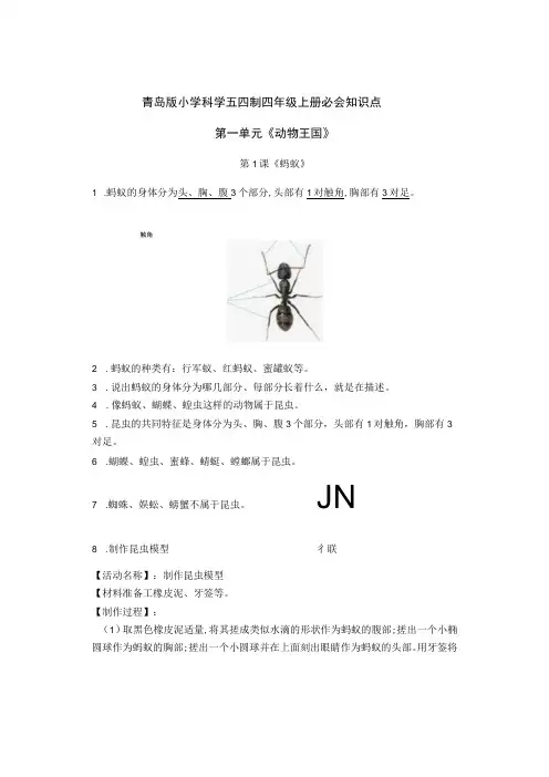 青岛版小学科学五四制四年级上册必会知识点