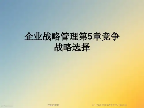 企业战略管理第5章竞争战略选择