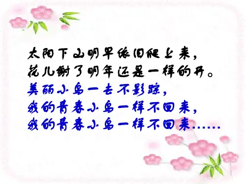 只因为年轻啊ppt课件(16张)