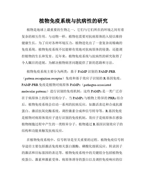 植物免疫系统与抗病性的研究
