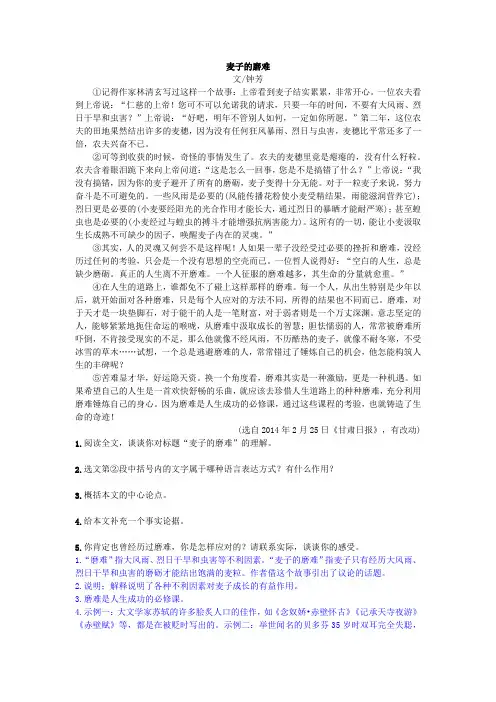 2020年中考语文议论文阅读《麦子的磨难》练习及答案