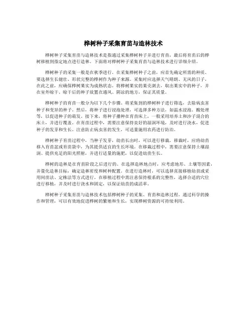 桦树种子采集育苗与造林技术