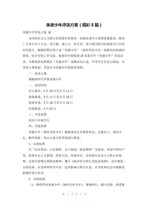 美德少年评选方案(精彩5篇)