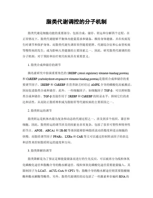 脂类代谢调控的分子机制