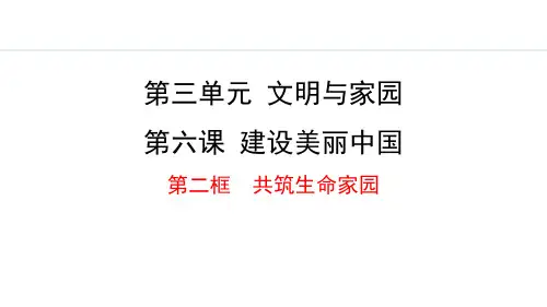 最新部编版道德与法治九年级上册《6.2 共筑生命家园》优质教学课件