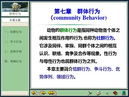 群体行为专业知识讲座