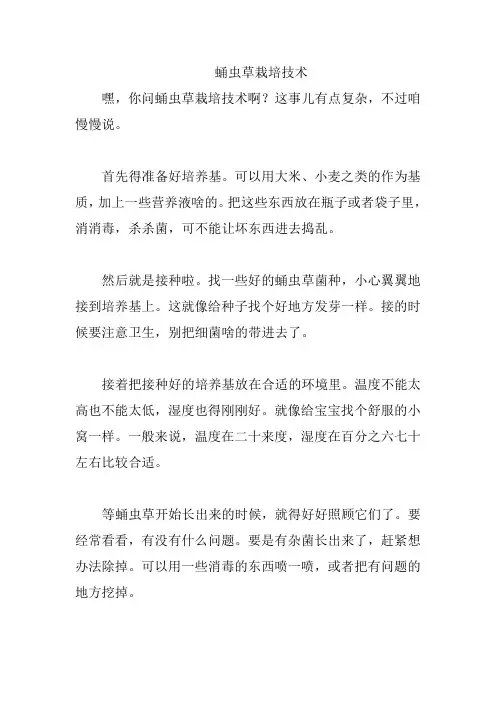 蛹虫草栽培技术