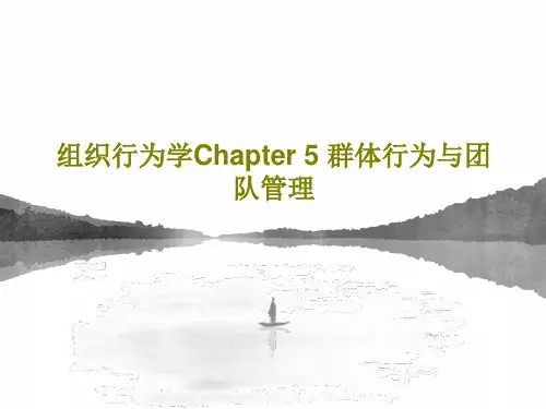 组织行为学Chapter 5 群体行为与团队管理58页PPT