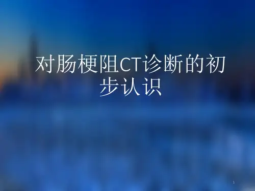 肠梗阻的CT诊断PPT精选文档