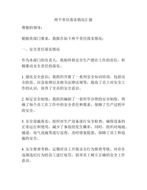 两个责任落实情况汇报