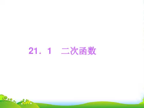 新沪科版九年级数学上册《二次函数》课件(共12张PPT)