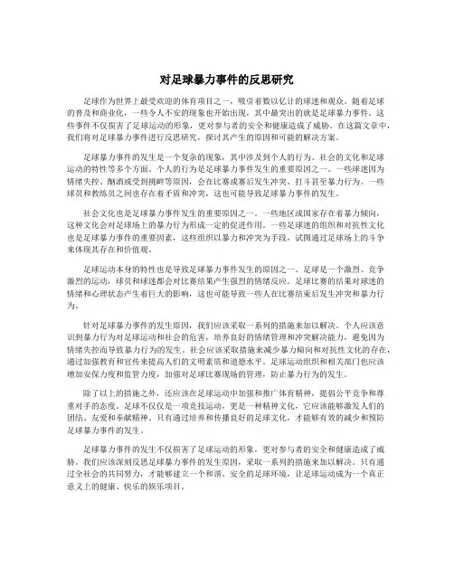 对足球暴力事件的反思研究