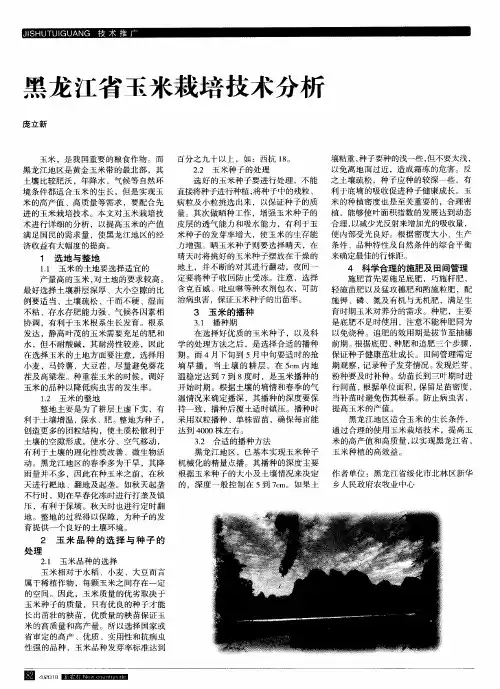 黑龙江省玉米栽培技术分析