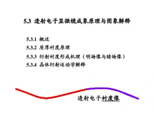 第五章 5.3电镜图象解释1