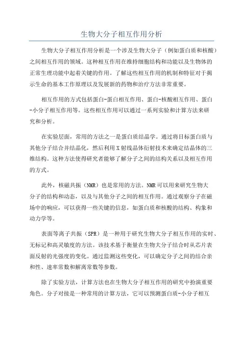 生物大分子相互作用分析