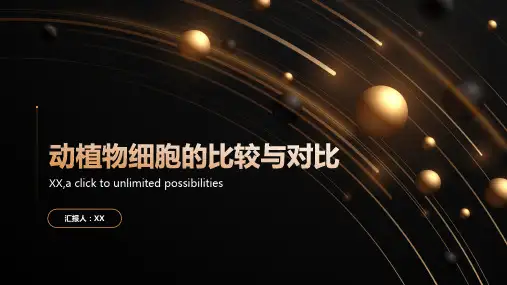 动植物细胞的比较与对比