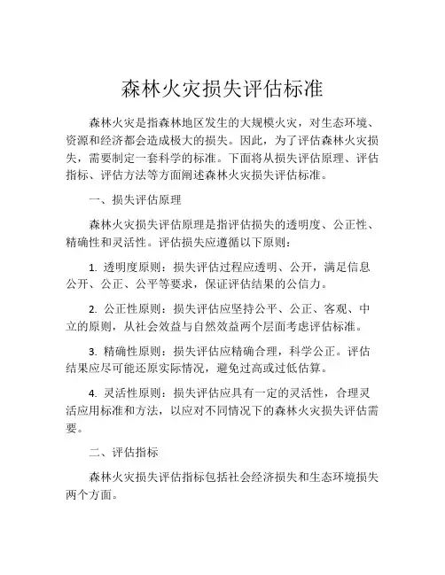 森林火灾损失评估标准