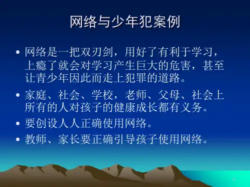 法制教育--网络引起青少年犯罪案例分析PPT课件