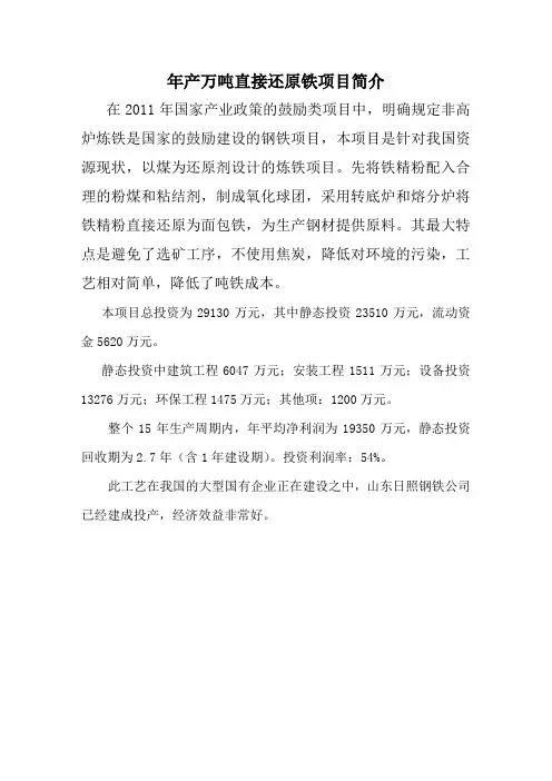 年产20万吨直接还原铁项目简介