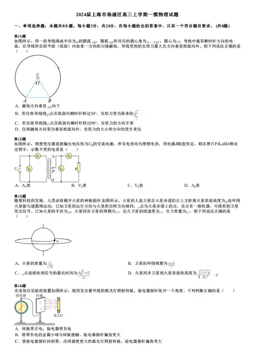 2024届上海市杨浦区高三上学期一模物理试题