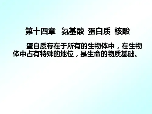 医用有机化学课件-第十四章张---氨基酸和蛋白质