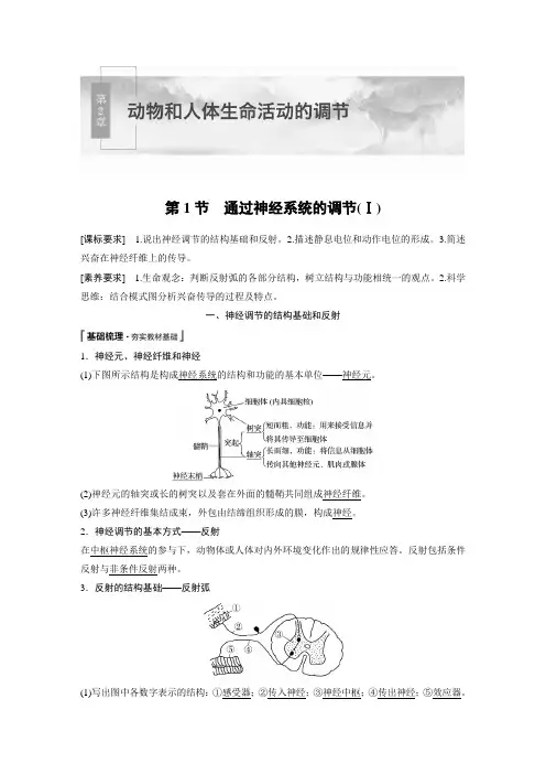 21-22版：2.1 通过神经系统的调节(Ⅰ)（步步高）