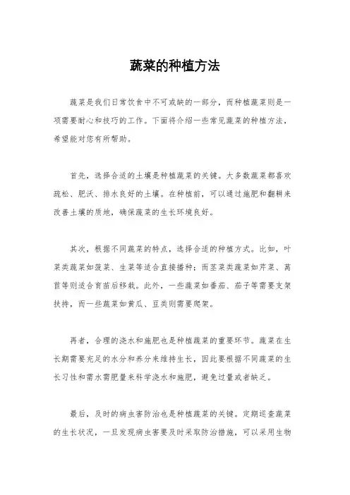 蔬菜的种植方法