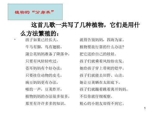 五年级下册科学课件 - 14 植物的“分身术”   ︳青岛版(共14张PPT)