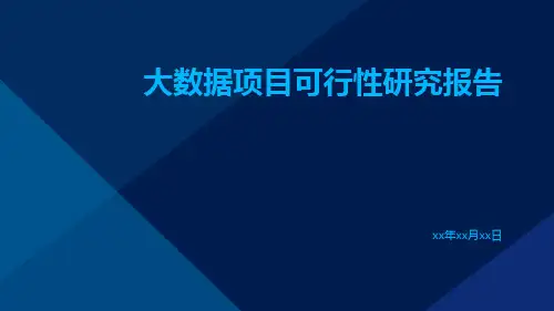 大数据项目可行性研究报告