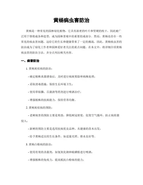 黄杨病虫害防治