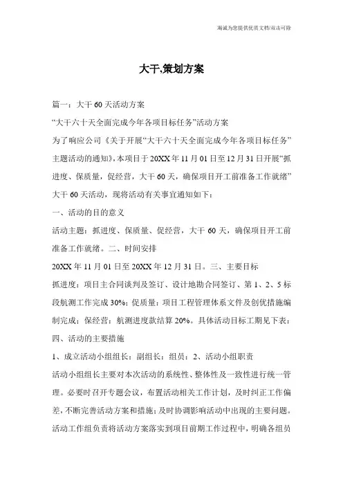 大干,策划方案