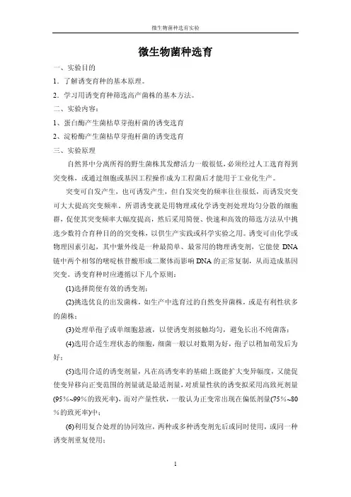 （生物工程）微生物菌种选育实验