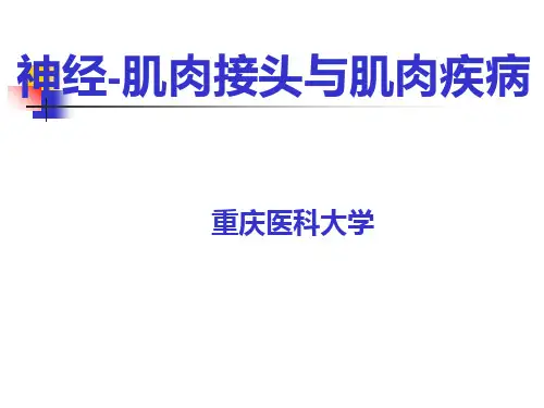 神经肌肉接头与肌肉疾病重庆医科大学ppt课件