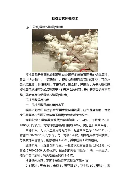 樱桃谷鸭饲养技术