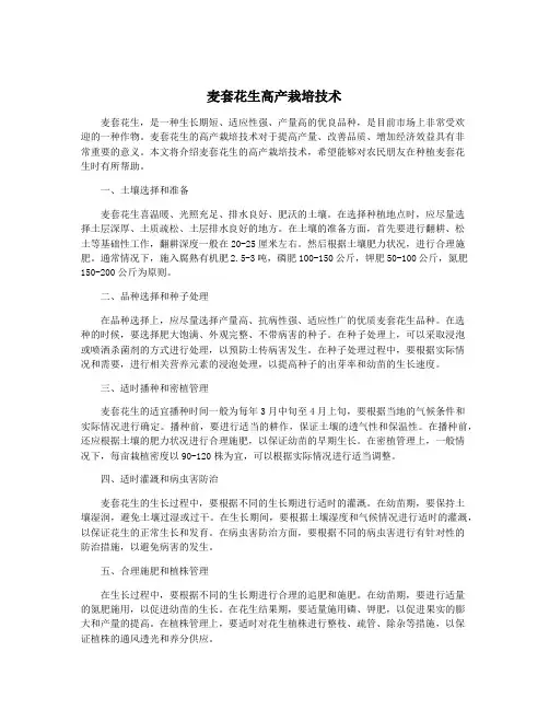 麦套花生高产栽培技术