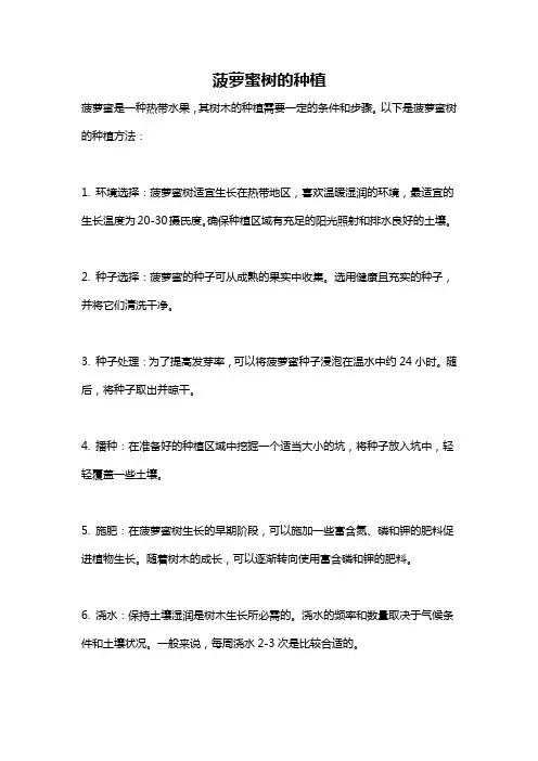 菠萝蜜树的种植