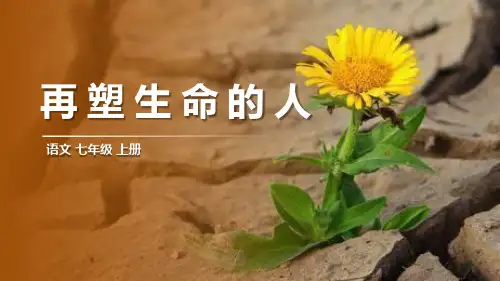 部编版七年级上册语文《再塑生命的人》PPT优秀课件