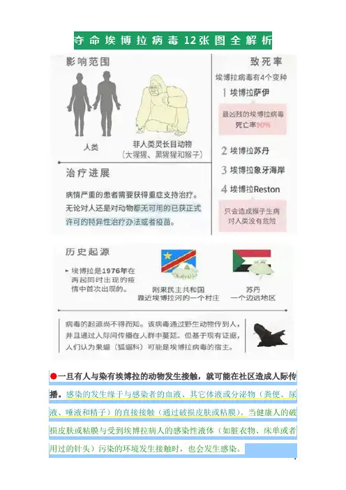 夺命埃博拉病毒12张图全解析