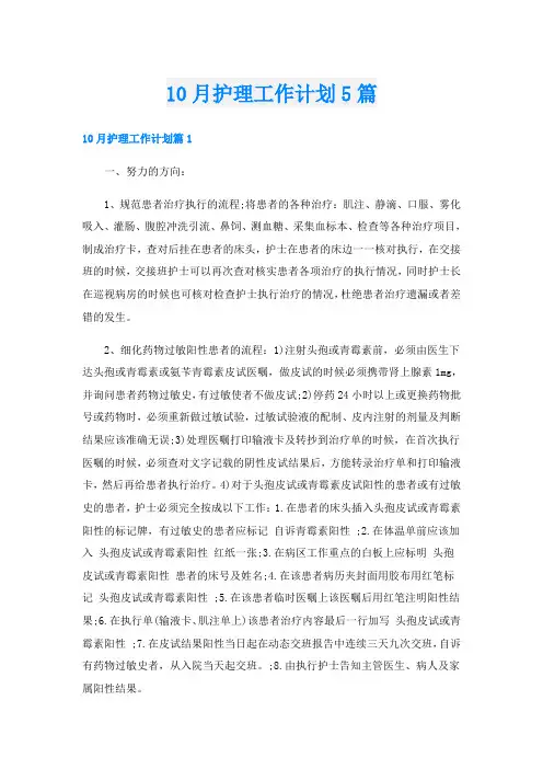 10月护理工作计划5篇